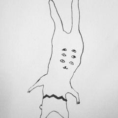 Cecilia Villavicencio