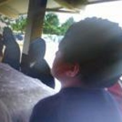 j-uli