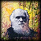 Chuck Darwin