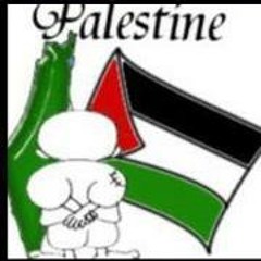 Assem Ahmed 6