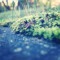 finnicle1