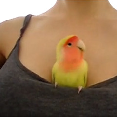 Nine Inch Nails - Wish (A Shitty Thrash Metal Cover With No Singer Or Guitar Solo)