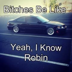 Robin_Em1Stanced