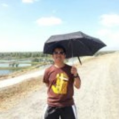 Irone Jason Tobias Lerios