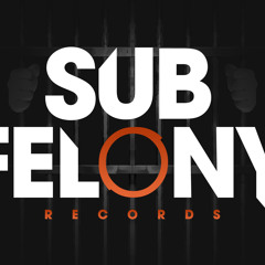 SUB FELONY RECORDS