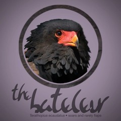 The Bateleur