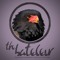 The Bateleur