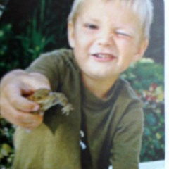 William Nejsum Hindbo