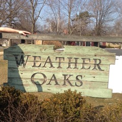 Yung Polo aka Y peezy