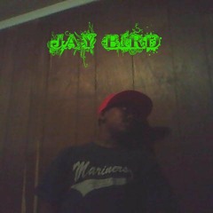 Jay-Bird Beats
