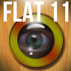 flat11