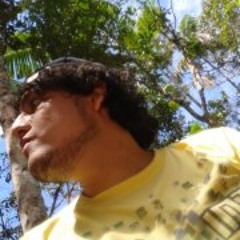 Carlo Eric Guevara Bazán