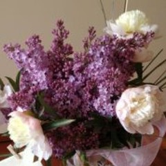 Nona Balsells Rosello