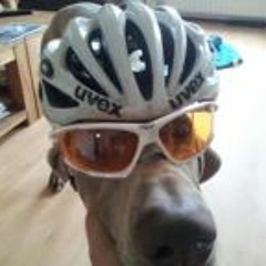 Daniel Liarte van Ekeren