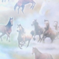 TioTusen Vilda Hästar