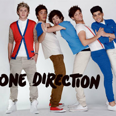 One Direction 1D*