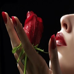 user43102299