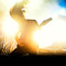 Benjamin Ellis Music
