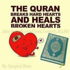 qurannhenley@yahoo.com