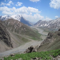 Mohammadsalehi1