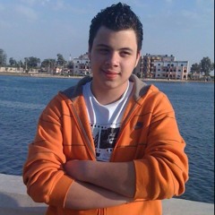 saif meguid