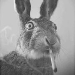 Antton Etchemorandegaray