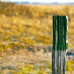 Muckel, Maschwitz, Vogt