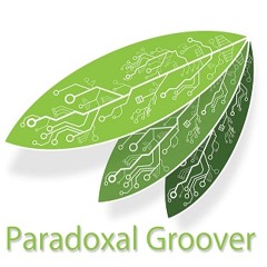 Paradoxal Groover