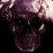 Alkaloide Destruction