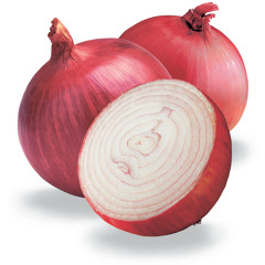 Cibuľa