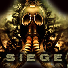 Eternal Order of Chaos