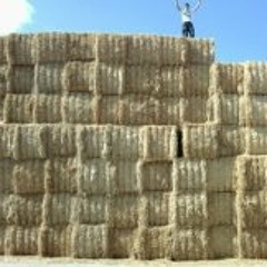 Adrian García Copado