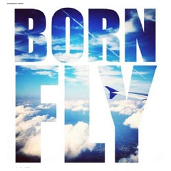 BornFlyDieRich