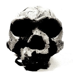 Benedict Nelson Sutton