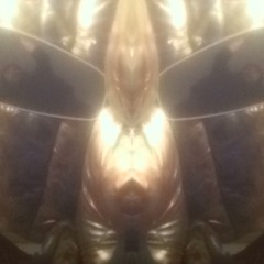 Am I Shhit man???????????