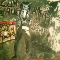 Slayer-Necrophobic (Cover)