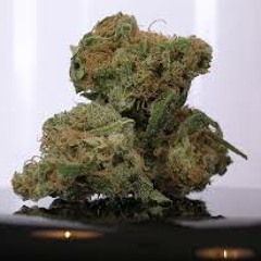 Jaquell Djquell Middleton