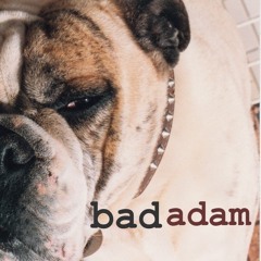 Bad Adam