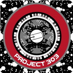 Project_303