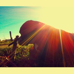 franz-joseph-hermann