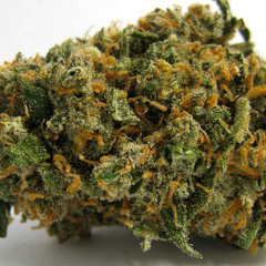 mrdhank420