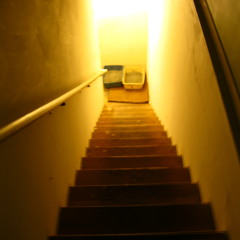 Kittens in the Engine