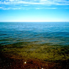 Jonathan Leroux Indigo