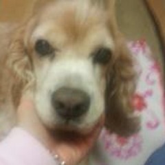 Christina Seena Hall