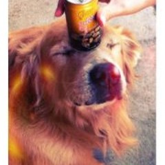 Titayatorn Utenpatanun