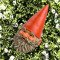 Le Garden Gnome