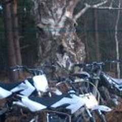 Daryn Jack Danny Ward