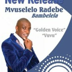 Vusi Mvuselelo Radebe