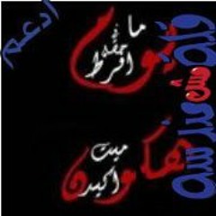 Alaa Qamar Eldoula