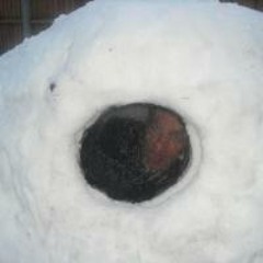 The music of Dave Glover